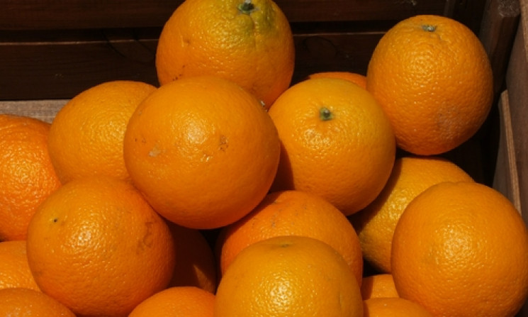 Обіцяні окупованому Севастополю апельсин…