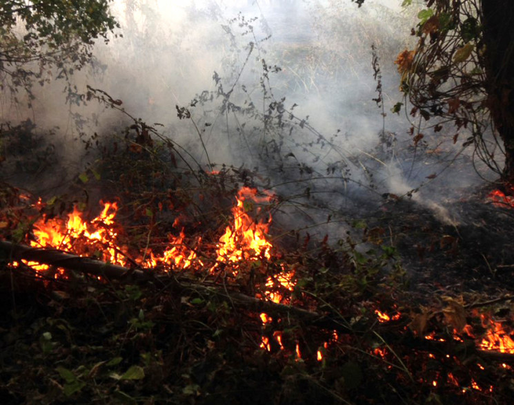 Смертельна пожежа: На Полтавщині під час…
