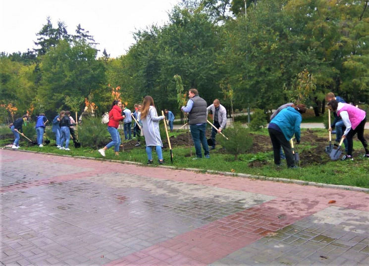 Более 350 деревьев высадили в городских…