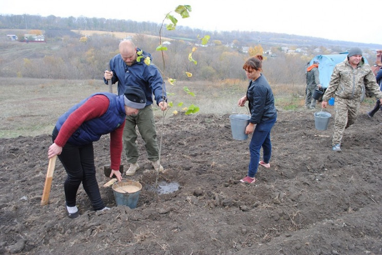 У Новоукраїнці посадили перші дерева для…