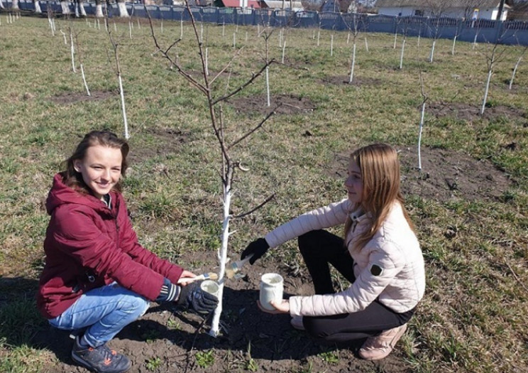 Шкільний сад Черепашинців переміг у всеу…