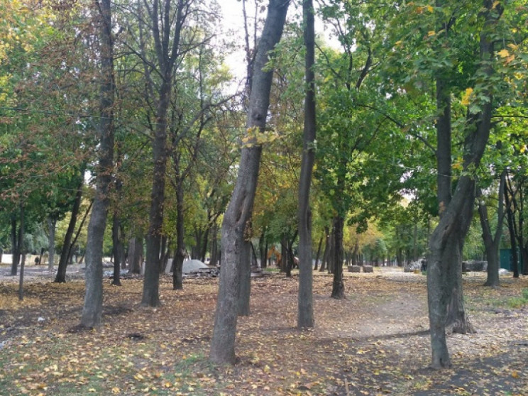 У парку Дніпра знищать понад півсотні де…