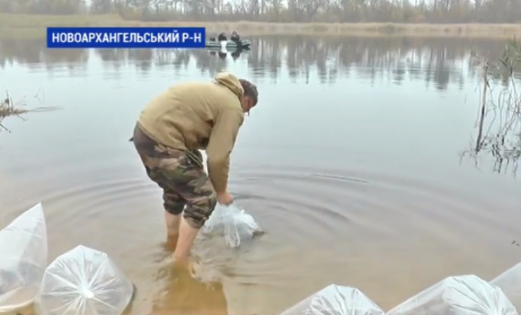 На Кропивниччині зарибили осетрами річку…