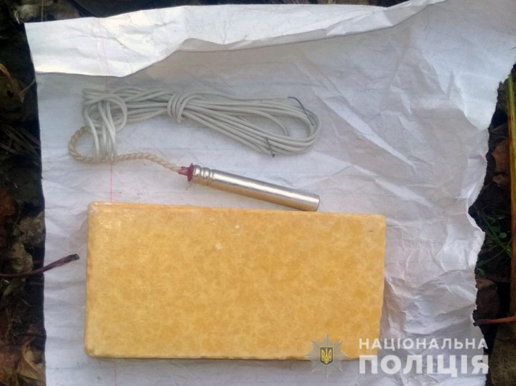 На Чернігівщині чоловік розгулював з тро…