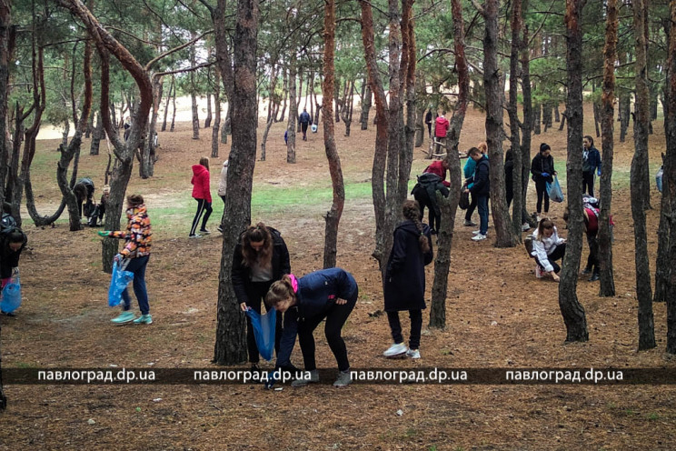 У Павлограді студентів відправили у ліс…