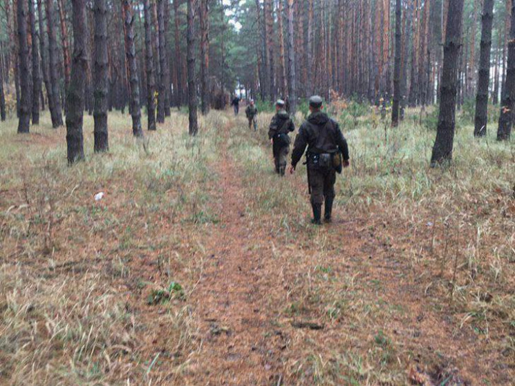 Мешканка Полтавщини, яка зникла у лісі,…