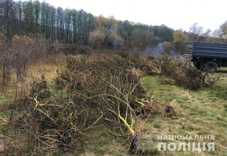 Полиция Полтавщины обнаружила в лесу пла…