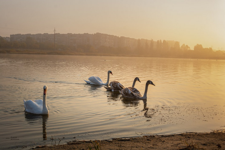 Фотосесія у Сіверськодонецьку: Топ місць…