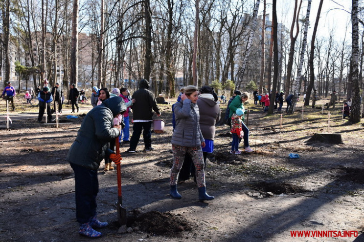 Як вінничани садили дерева в улюбленому…