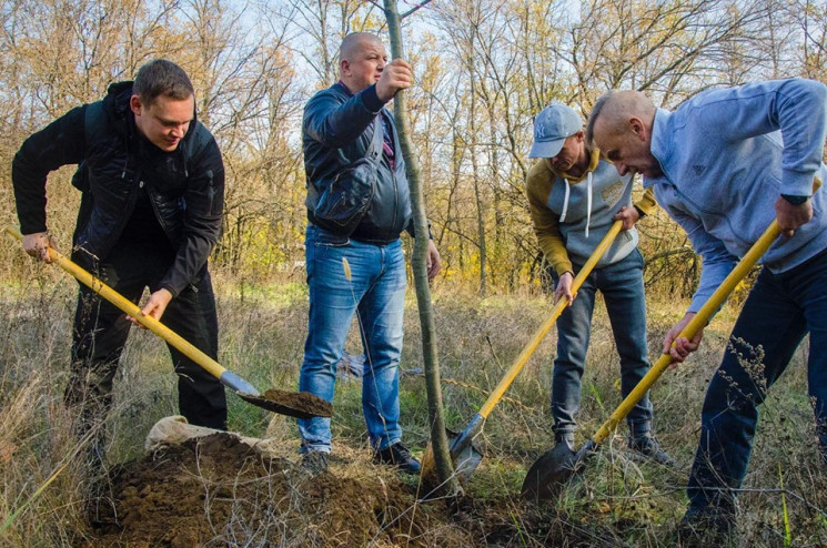 В Запорожье на Хортице восстановили дубо…