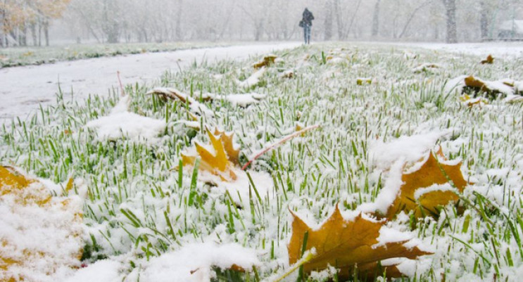 Киевлян предупредили о возможном снеге…