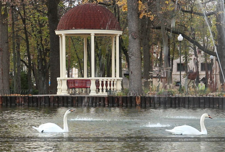 Из харьковского парка Горького исчезли п…