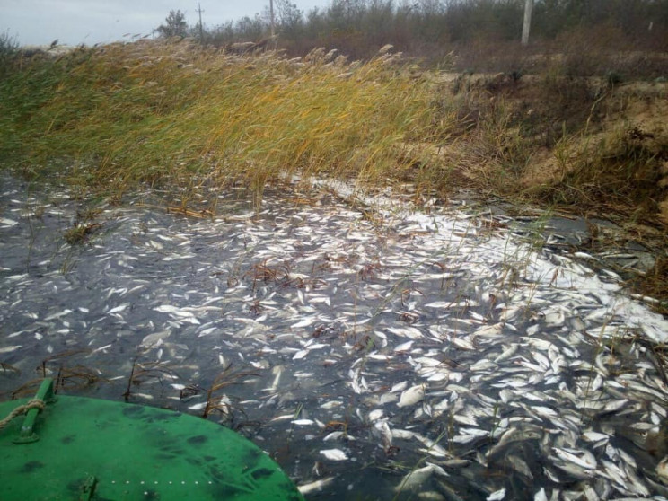 В акваторії Дніпро-Бузького лиману на Хе…