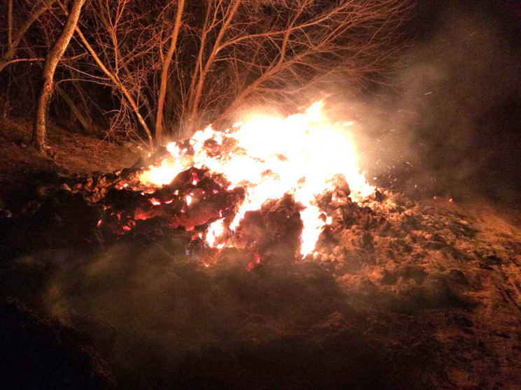 Пожежі не вщухають: На Полтавщині вогонь…