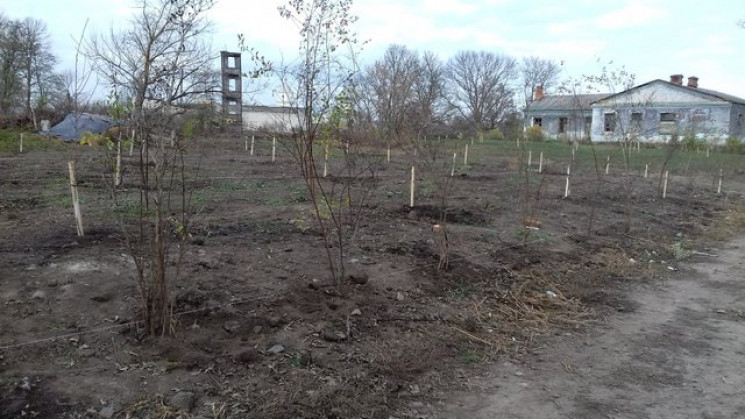 В пам'ять про загиблого Героя на Летичів…