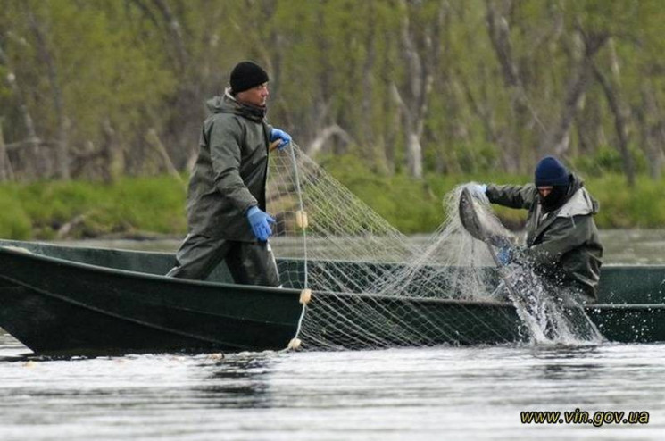 На Вінниччині судитимуть майже сотню риб…