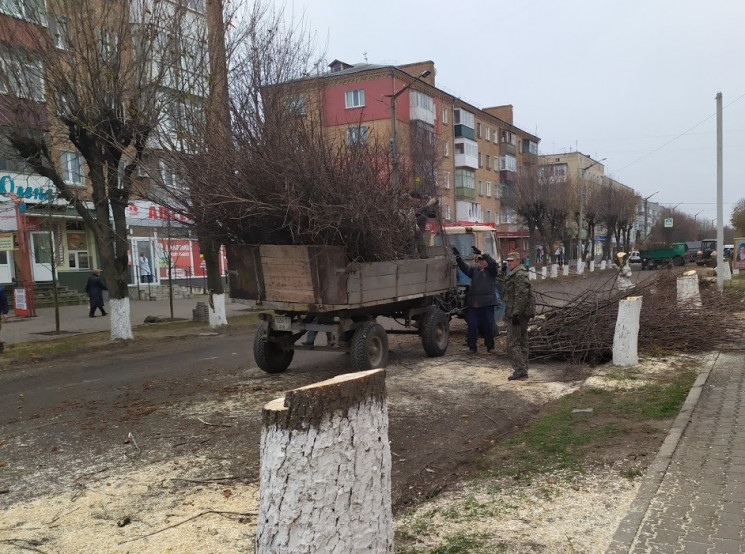 У центрі Старокостянтинова зрізали кашта…