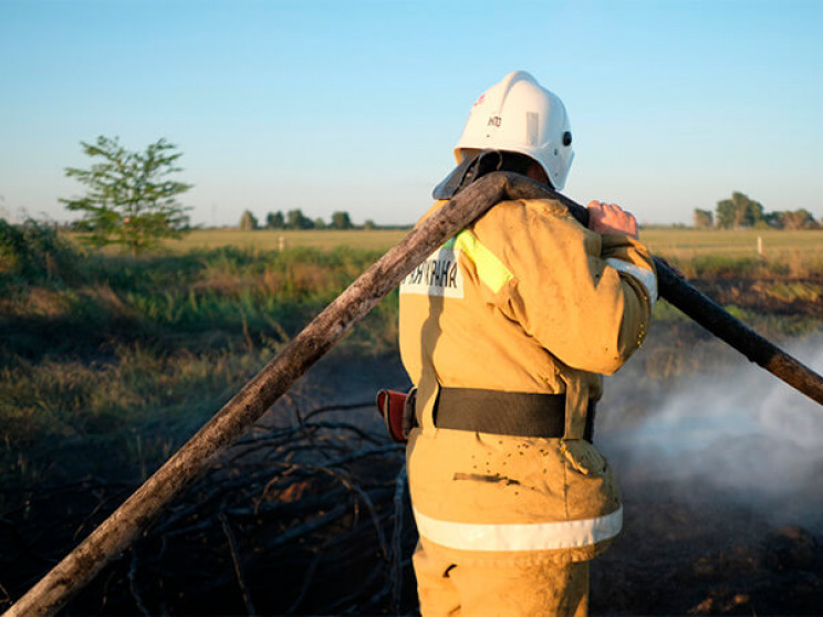 Більше 300 людей гасять лісові пожежі в…