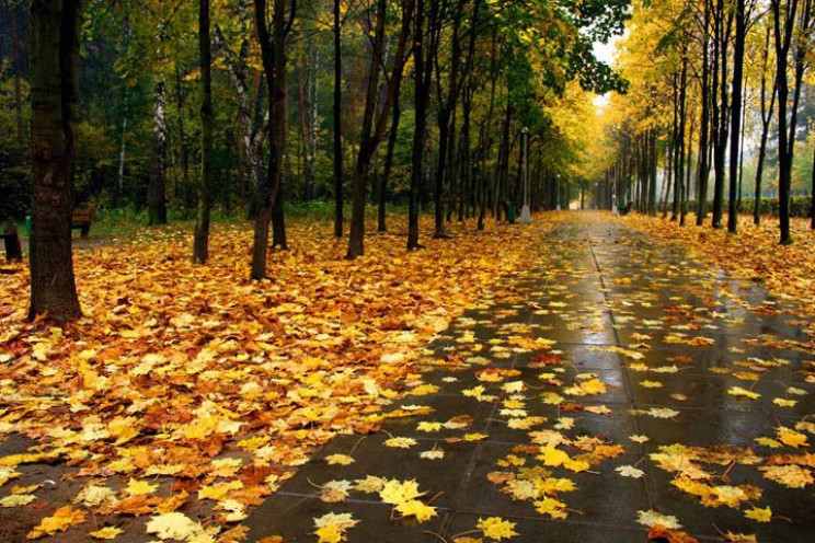 Сумчани ще кілька днів ходитимуть під х…