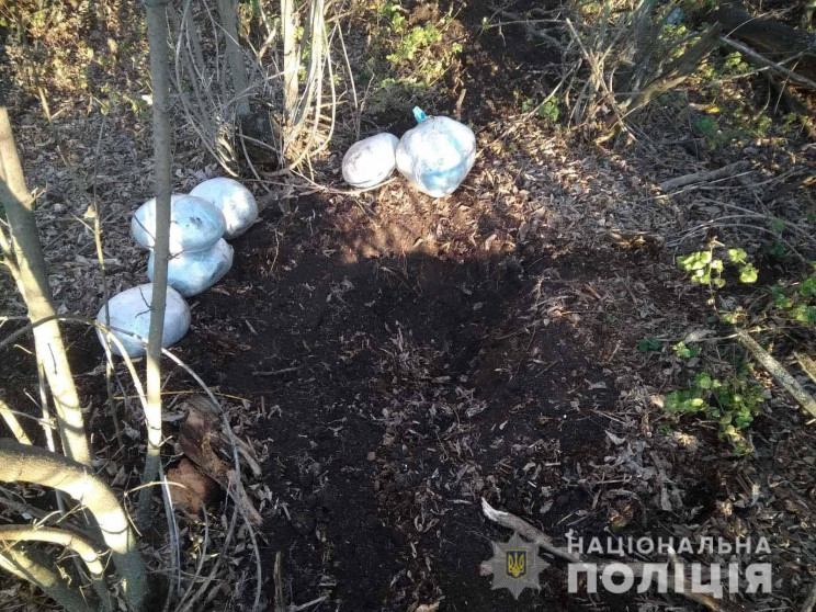 На Дніпропетровщині у лісі затримали чол…
