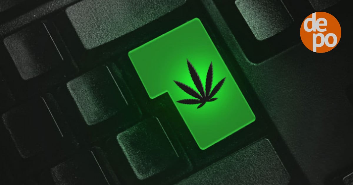 Как купить марихуану в интернете лекарственной марихуаны