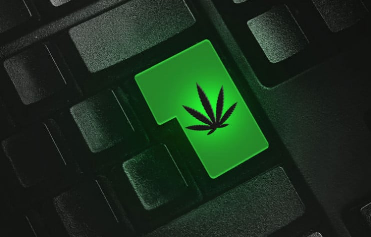 покупка марихуаны через интернет