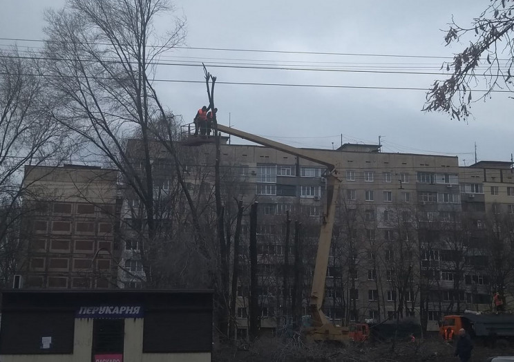 У Дніпрі на ж/м Тополя знов вирубують де…