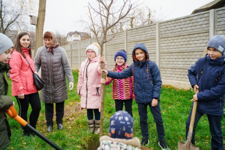 У дворах вінницьких шкіл висаджують моло…