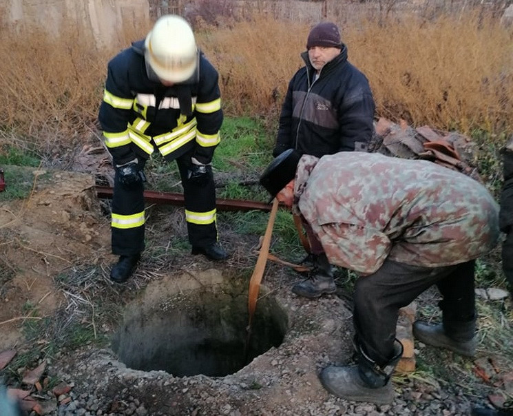 На Днепропетровщине спасали корову из гл…