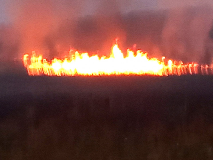 На Полтавщині неподалік Хоролу пожежа зн…