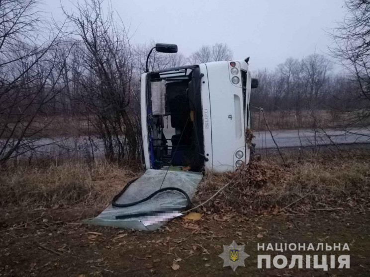 На Виннитчине из-за гололеда перевернулс…