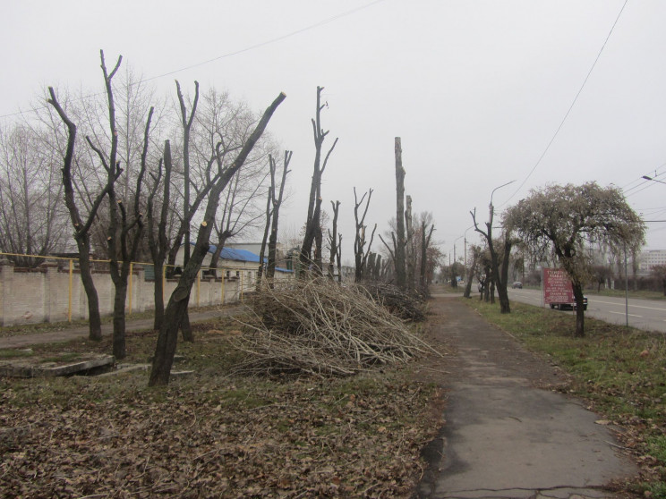 ТОП-5 ужасов благоустройства Северодонец…