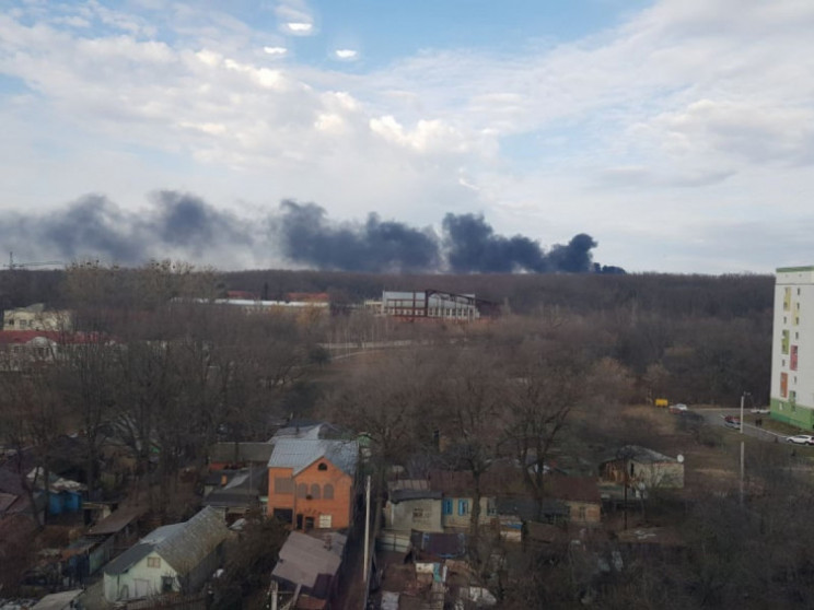 Пожежа в Лісопарку: ДСНС встановлює прич…