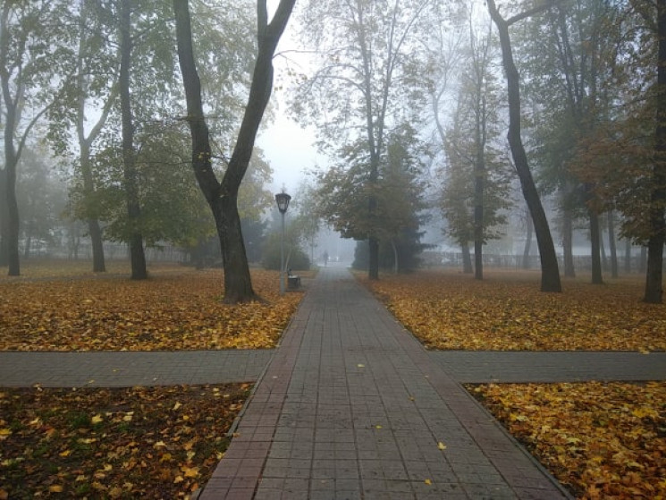 Хмарно, але без опадів: Якою 27 листопад…