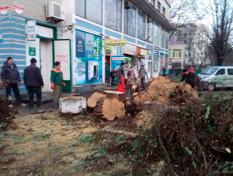 У Хмельницькому вкотре зрізали дерева в…