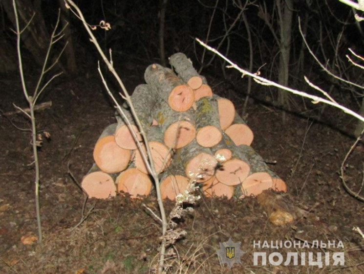 Поліція Полтавщини затримала лісоруба-бр…
