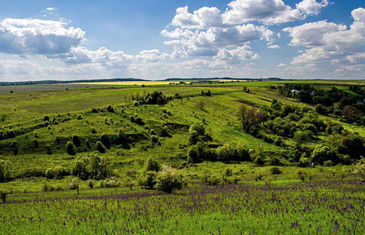 На Хмельниччині з'явиться зоологічний за…