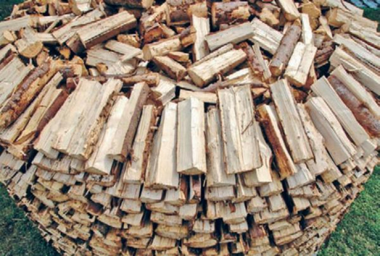Скільки коштують дрова для закарпатців (…