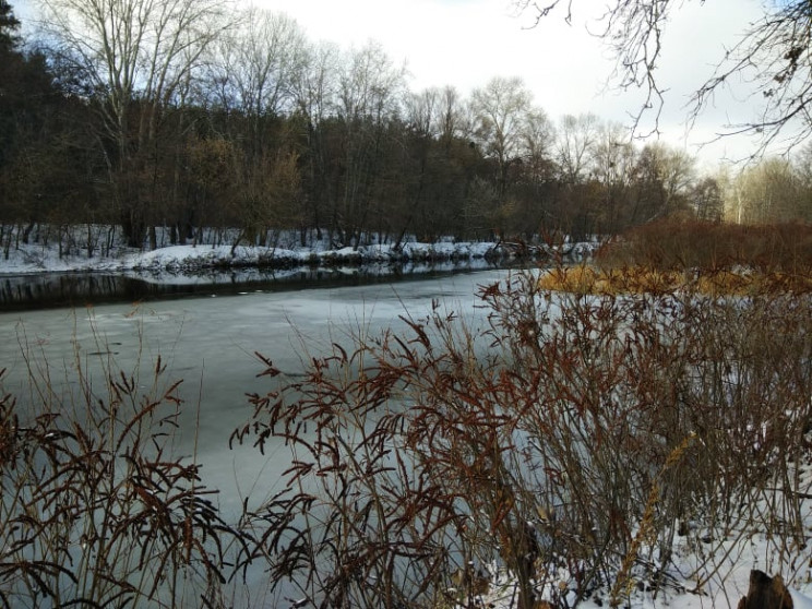 Первый лед: На Полтавщине на реке погибл…