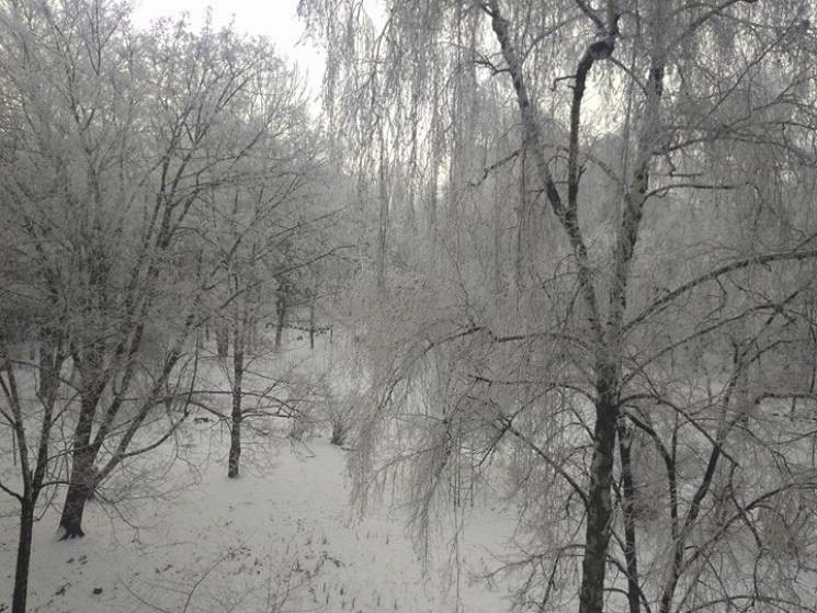 Перший сніг: На Полтавщині і Сумщині всю…