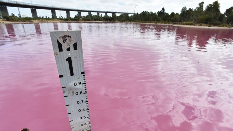 В Австралії озеро стало яскраво-рожевим…