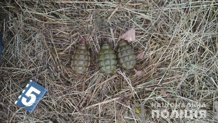 Вибух у херсонській стайні: Причетного д…