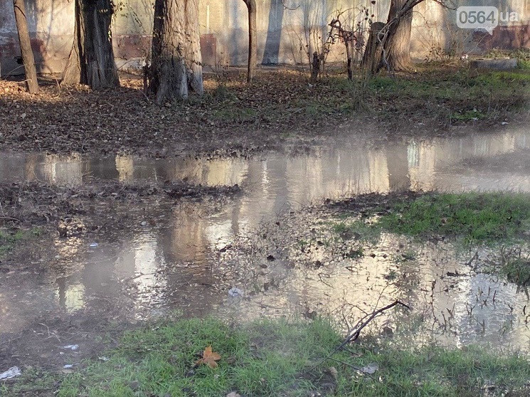 Як у Кривому Розі двір багатоповерхівки…