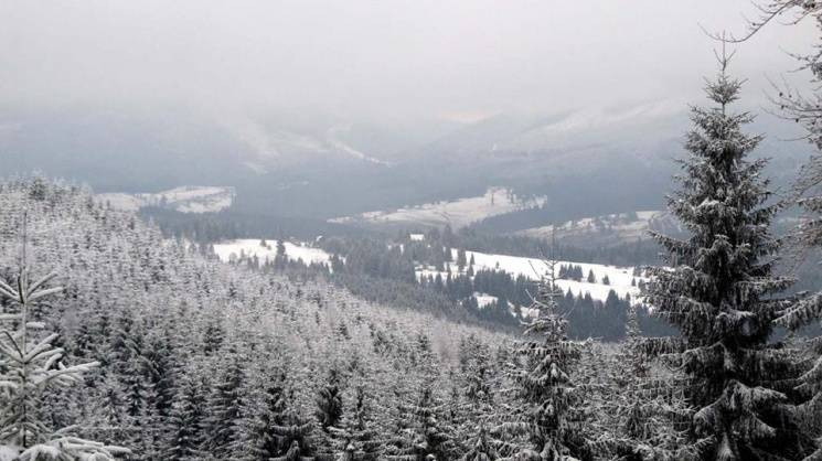 Закарпаття: Прогноз погоди на восьме гру…