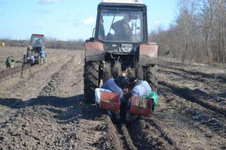 Без дров не залишимось: На Полтавщині ви…