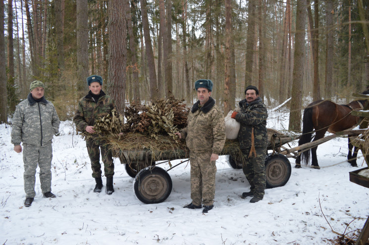 Лісівники на Хмельниччині взялися підгод…