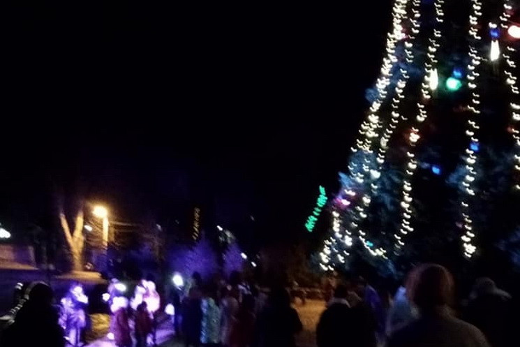 В парке Днепра открыли новогоднюю елку…