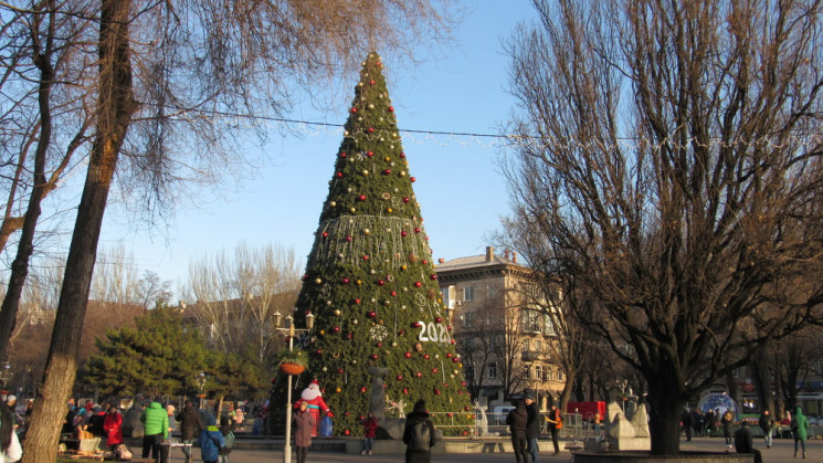 Подарунок від мецената і ялинки з парасо…