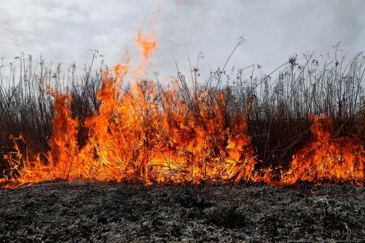 На Харківщині борці із сухостоєм спалили…