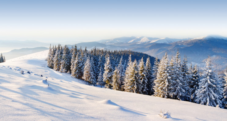 В Сколівському районі в Новорічну ніч в…